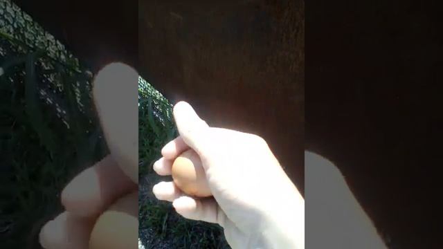 Проверяем законы физики смотреть онлайн