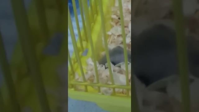 4 мая 2019 г. смотреть онлайн