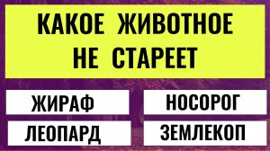 Этот Тест на Эрудицию Сдаёт Только 1 из 10! Попробуй Себя!