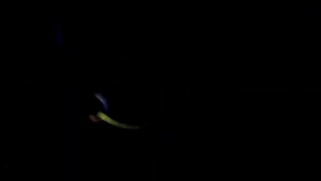 Fluorescence of Wood in Liquid Nitrogen смотреть онлайн