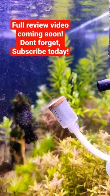 Diy co2 & Diy co2 diffuser смотреть онлайн