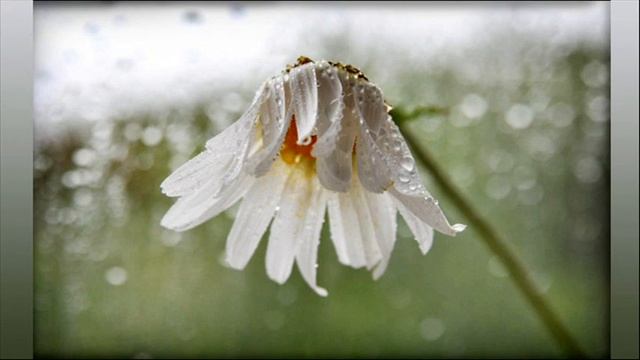 Сознание бедности. Ч.3. Лиза Ренее. Статья за 01.2017. смотреть онлайн