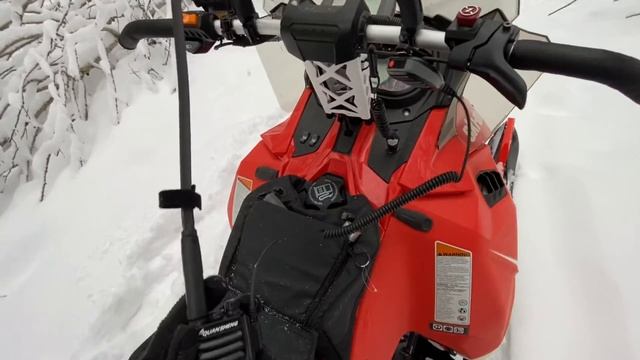 Мы опять опоздали и Волки успели поймать Жеребенка/Охота на Кабана смотреть онлайн