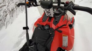 Мы опять опоздали и Волки успели поймать Жеребенка/Охота на Кабана