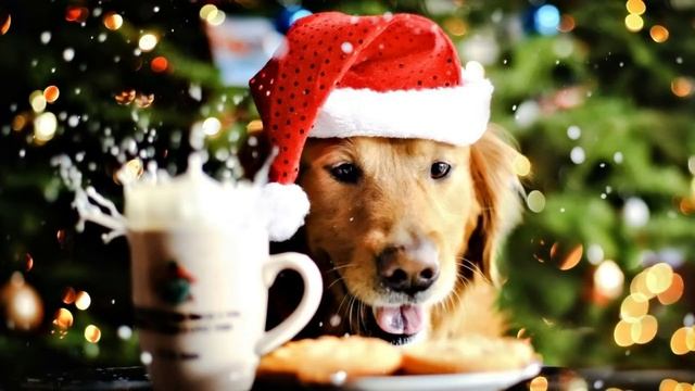Jingle Bell Rock (speed up) смотреть онлайн
