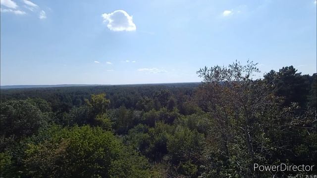 Здесь была усадьба, эвакогоспиталь и санаторий. Забытая и заброшенная здравница в сосновом бору смотреть онлайн