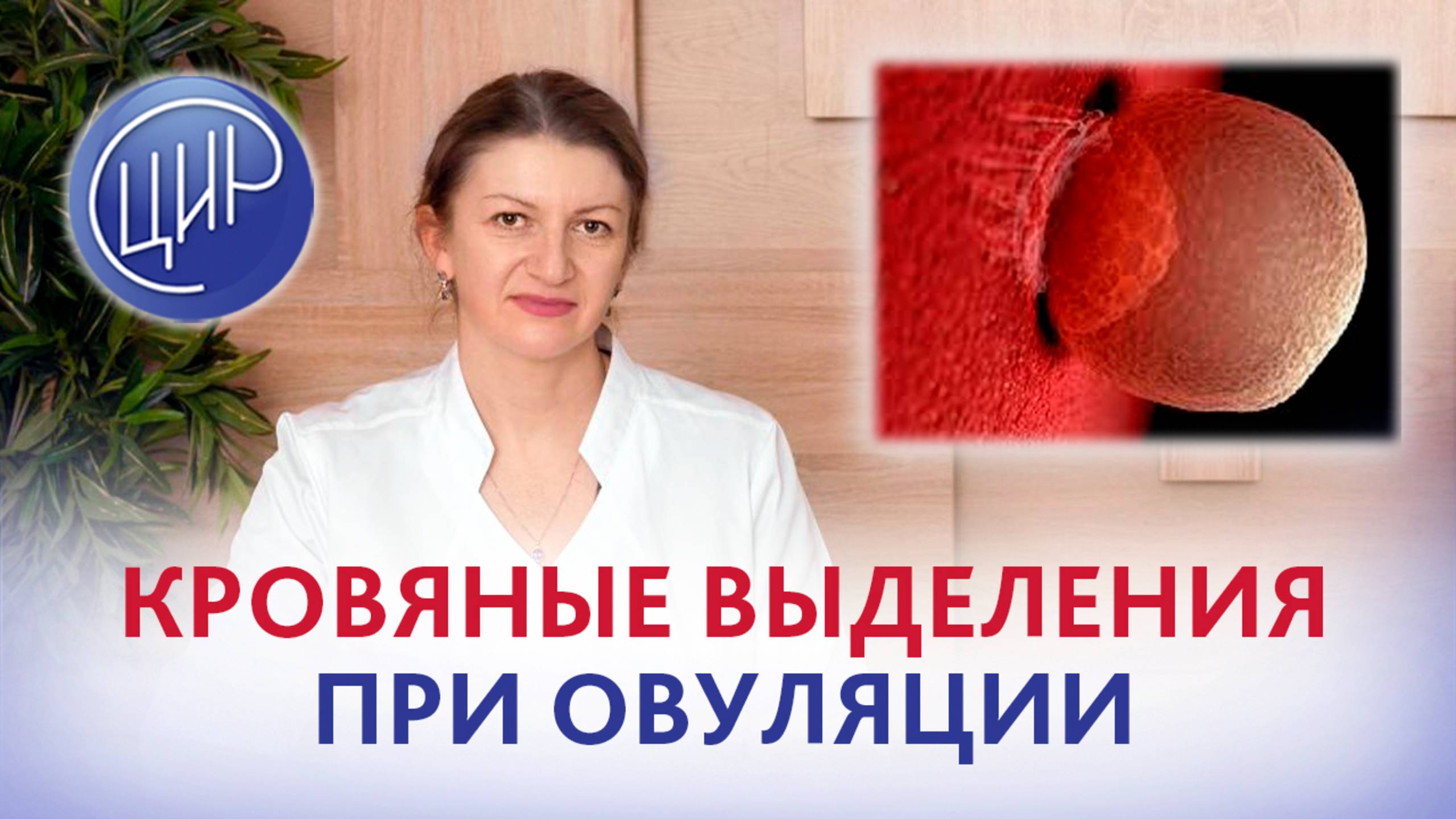 Кровь На Утро После Секса Кровь На Утро После Секса