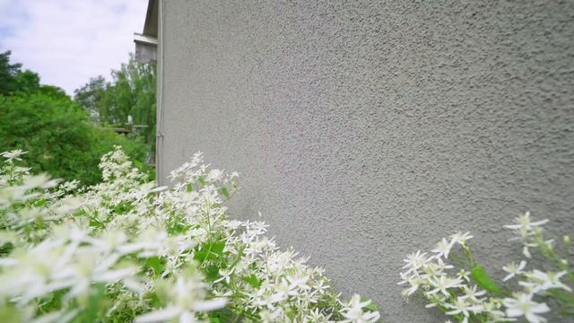 Dekoratīvais apmetums weber AquaBalance sausai un tīrai fasādei смотреть онлайн