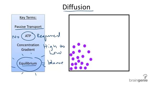 2.2.1 Diffusion.mp4 смотреть онлайн