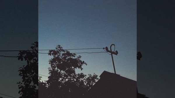 Теория пустоты