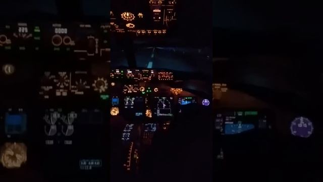 Boeing 737-800 Level D Simulator смотреть онлайн