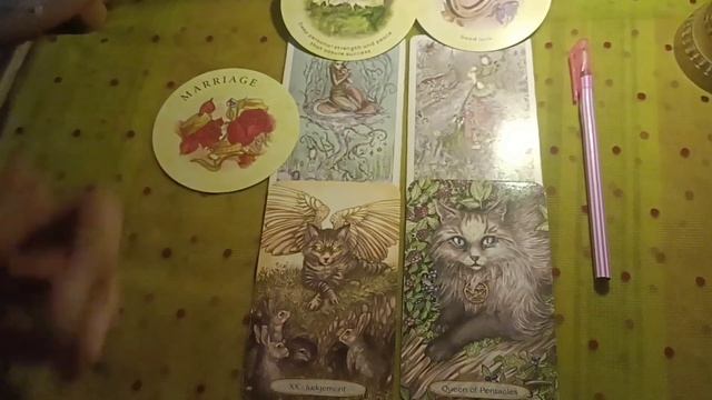 June Situation(love/health/business/career) смотреть онлайн