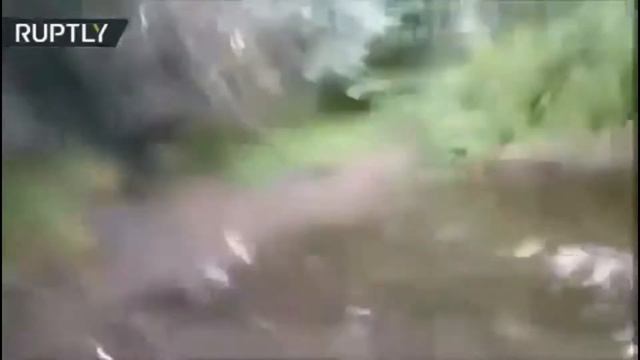 АМЕРИКАНЕЦ и РУССКИЙ против МЕДВЕДЯ! смотреть онлайн