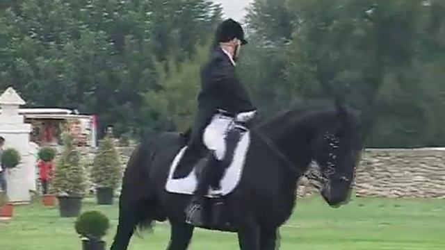 "IL MORO DI PUGLIA" in carrozza con eleganza abazia S. Lorenzo Fasano (BR) 2009 смотреть онлайн