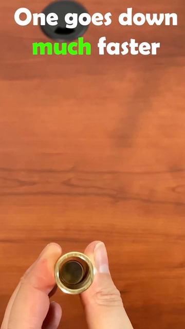 newton's nightmare physics + magic toy 😎 #shorts смотреть онлайн