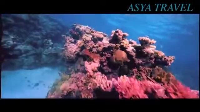 ASYA Business Travel смотреть онлайн