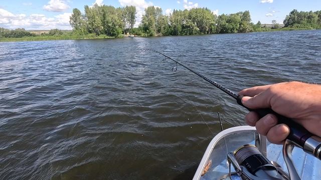 Июльские сызранские судаки на Flutter JigIt