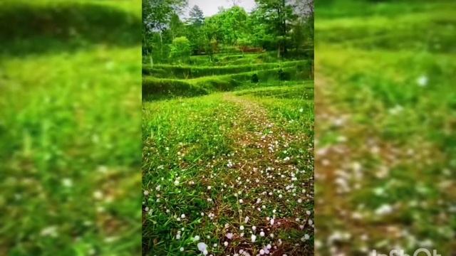 charming view of kashmir смотреть онлайн