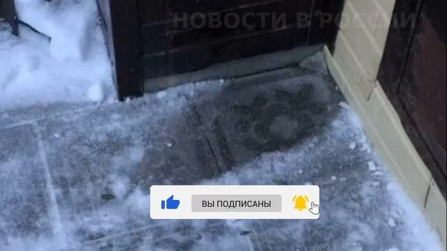 МЛАДЕНЦА ПОДБРОСИЛИ В ПАКЕТЕ смотреть онлайн