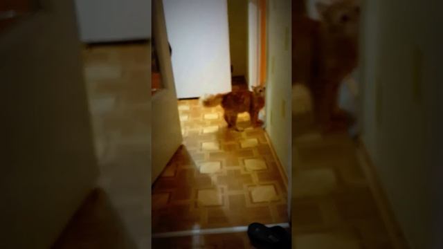 Мишель и ее друзья!