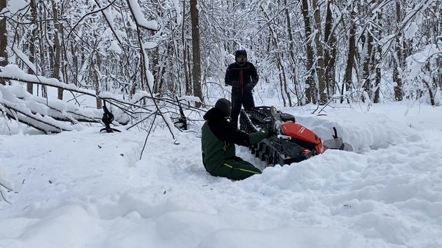 Жизнь в Деревне/Сложный день-Пришлось избавиться от Жеребца смотреть онлайн