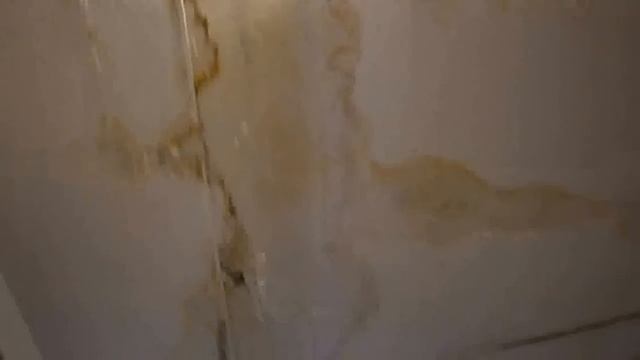 Условия по ФГОСам смотреть онлайн