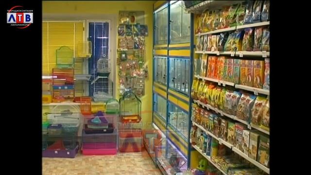 Инструкция Лапушки осень 2015 смотреть онлайн