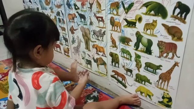 WADUH ❗ KALUNA CORAT CORET DI POSTER TEMBOK 😑🥴 #bermain #belajar BERSAMA LUNA смотреть онлайн