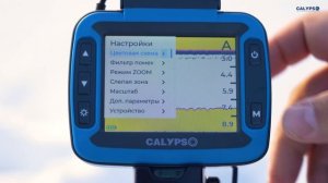 Как быстро настроить эхолот CALYPSO FFS-01 COMFORT и начать ловить рыбу. Краткая инструкция.
