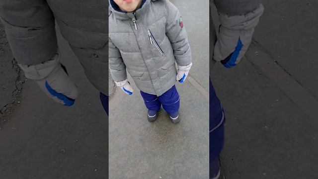 29-01-2025 смотреть онлайн