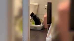 Со Мной Воюет Сатана - Откуда Тренд?