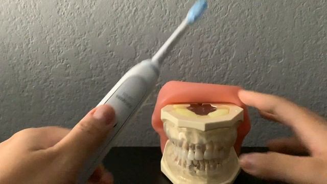 Philips Sonicare Electric Toothbrush Tutorial