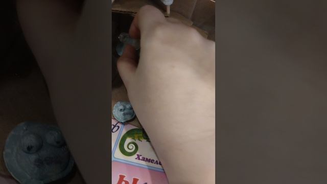 факты о жабмешках