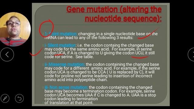 GENETIC CODE II TYPES OF RNA. II POINT & FRAME SHIFT MUTATION II WOBBLE II XII BIO CH -06 PART-05 смотреть онлайн
