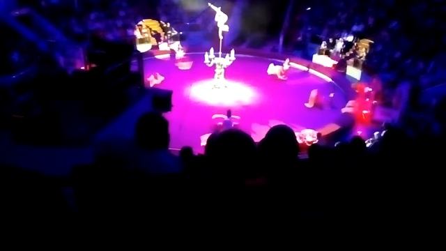 Самое залипающие видео смотреть онлайн