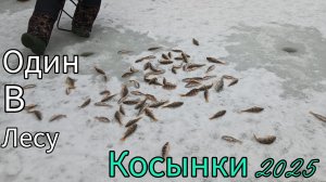 ГЛУХОЗИМЬЕ. РЫБАЛКА НА КОСЫНКИ 2025.