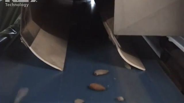 Almonds Processing on Optyx® 3000 Laser / Camera Sorter смотреть онлайн