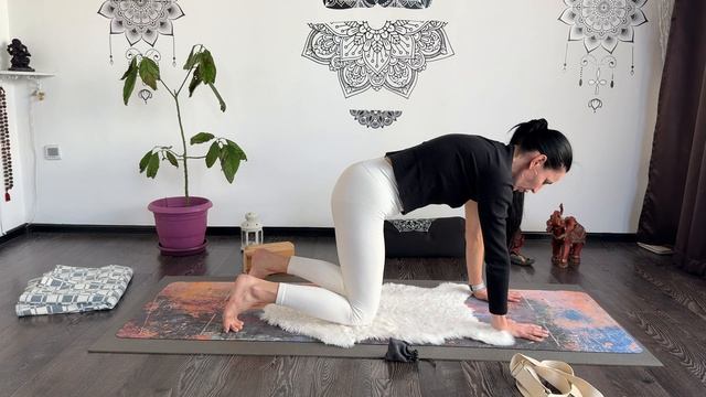 Практика на раскрытие грудного отдела смотреть онлайн