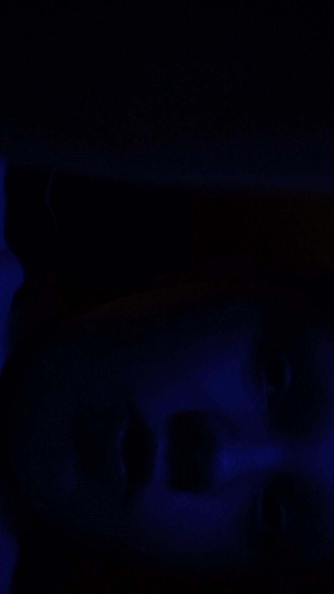 играю в туалет Defense Defence 24 часа