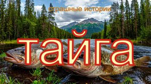 2 Таёжные истории