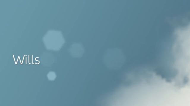 New Business Legal Services Miami Florida смотреть онлайн