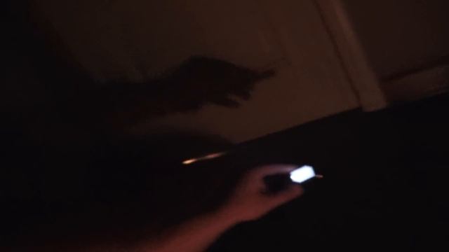 МНОГО СУЩНОСТЕЙ В КВАРТИРЕ ПОДПИСЧИКА ПРОВЕЛ РИТУАЛ ПРИЗЫВА смотреть онлайн