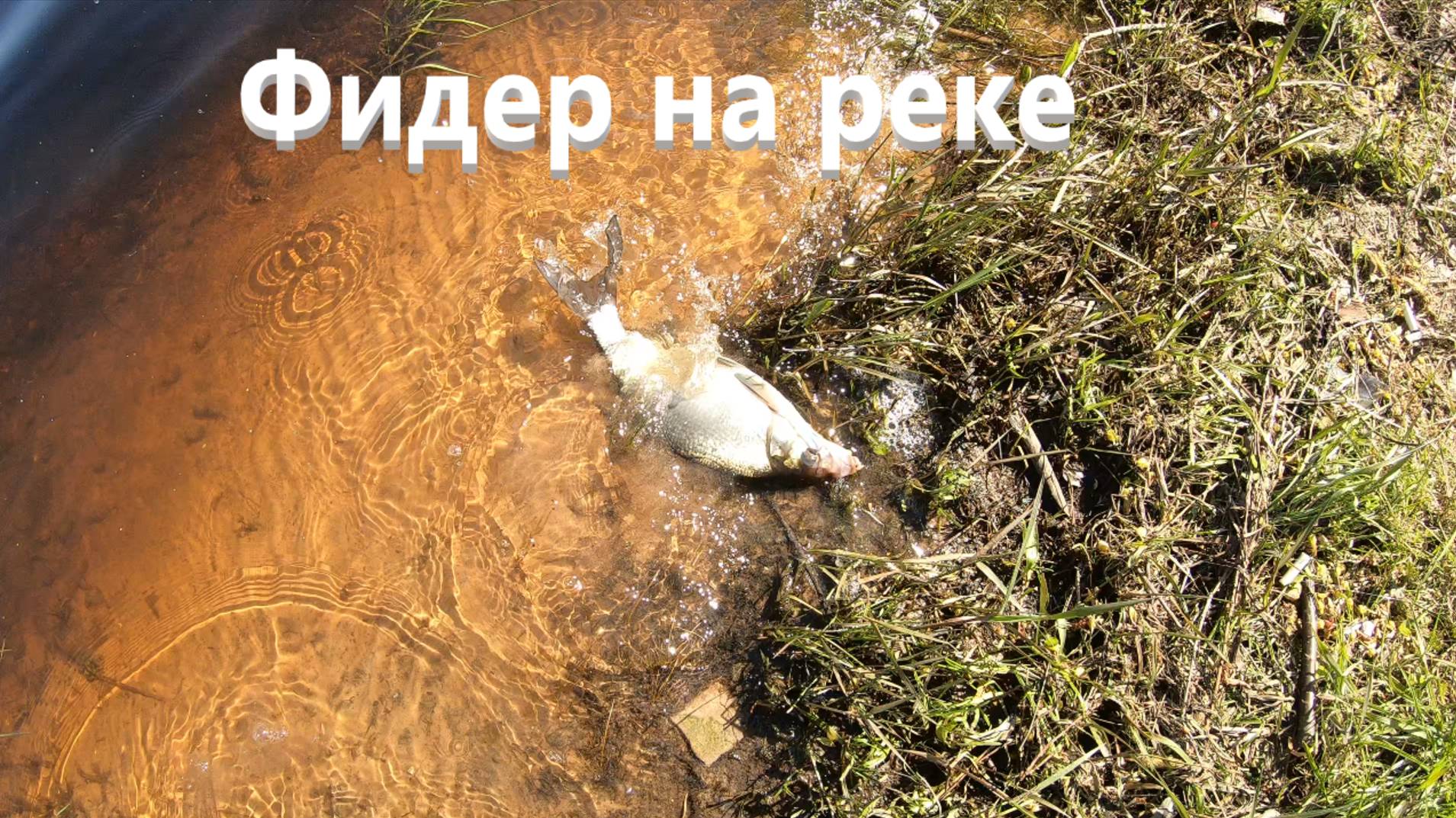 Ловля на фидер на реке весной. смотреть онлайн
