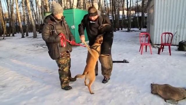Mal. Troya, 5 months. Тwo assistant смотреть онлайн