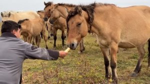 Как можно и нужно жить на селе | Готовимся к двойному празднику | Ранчо на Урале