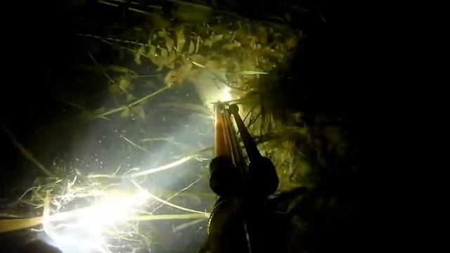 ночная подводная охота смотреть онлайн