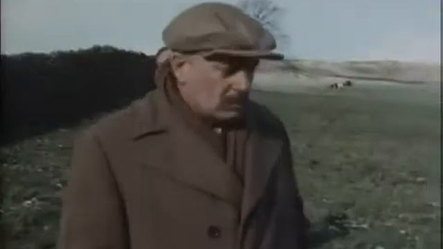 О всех созданиях больших и малых / 1 сезон, 13 серия (СУБТИТРЫ) смотреть онлайн