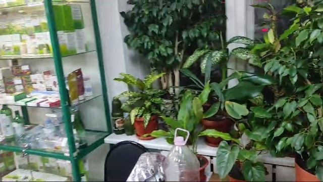 Калуга Болдина 2, внутри.mp4 смотреть онлайн