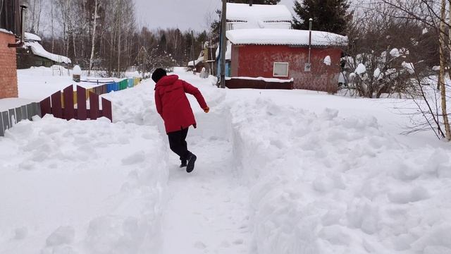 С Праздником 23 Февраля! 23.2.24. смотреть онлайн