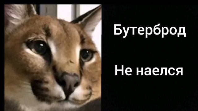 Грустные лица шлепы, ты съел: смотреть онлайн